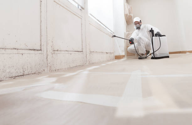 24/7 Emergency Attic Mold Remediation experts in Ahoskie, NC