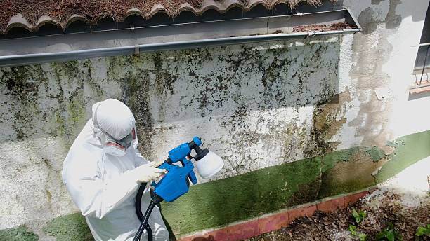 Top rated local Attic Mold Remediation specialists in Ahoskie, NC